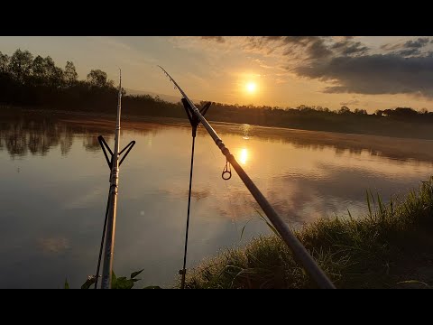 Видео: р. Дністер! Рибалка із ночівлею на фідер)) Лящ, карась, плотва, рибець)