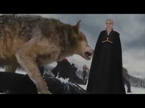 Видео: сумерки клип not today на русском