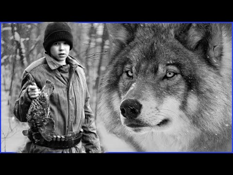 Видео: 🐺 🐺 Он спас  ВОЛКА а  добро всегда возвращается добром.Случай в тайге