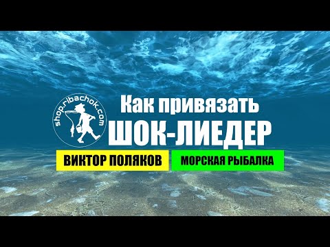 Видео: ✅ Как привязать ШОК-ЛИДЕР к леске 😄 Виктор Поляков | Морская Рыбалка