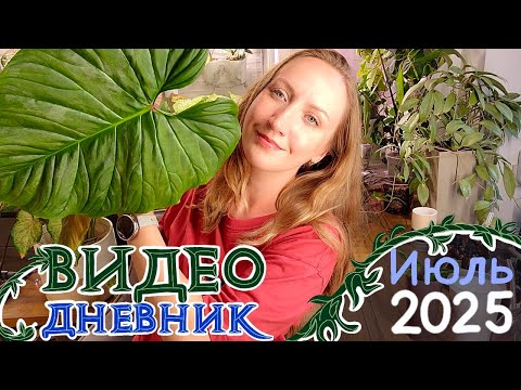 Видео: Видеодневник ЦВЕТОВОДА: Пересадки, распаковки и отпуск на Вуоксе