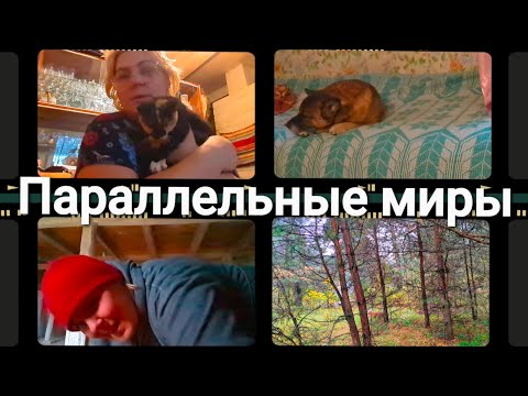 Видео: "Жизнь в деревне" Надела ошейник. Бумажка друг человека 😉