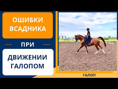Видео: ОШИБКИ ВСАДНИКА ПРИ ДВИЖЕНИИ ГАЛОПОМ