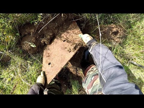 Видео: Где искать? Лесополосы пустые.., но где-то должен быть металл..!?