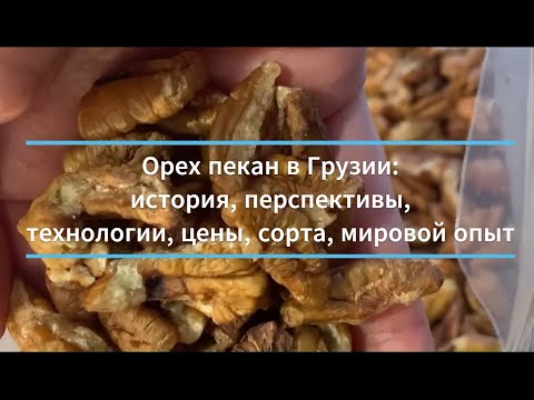 Видео: Орех пекан в Грузии: история, перспективы, технологии, сушка, колка, цены, сорта, мировой опыт