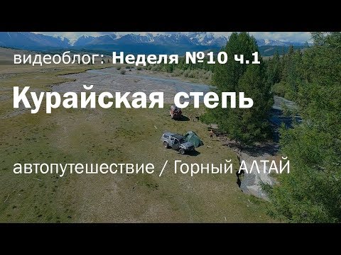 Видео: Курайская степь. Автопутешествие с семьей на Горный Алтай на кемпере / Неделя 10