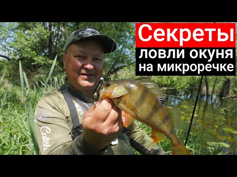 Видео: СЕКРЕТЫ ЛОВЛИ ОКУНЯ ЛЕТОМ на малой реке: первая рыбалка на спиннинг после запрета!