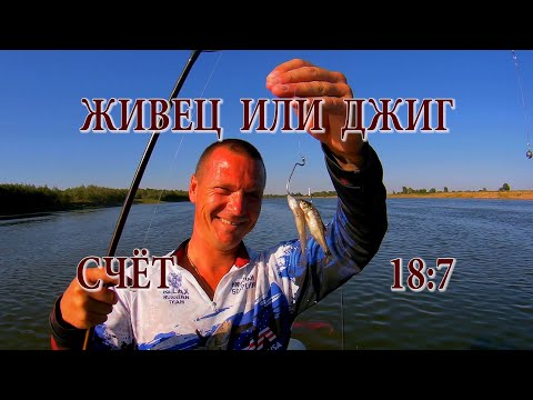 Видео: НА ЖИВЦА ИЛИ НА ДЖИГ? КАКОЙ МЕТОД ЭФФЕКТИВНЕЙ?