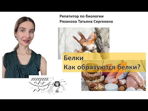 Видео: Про белки для ЕГЭ/ОГЭ - теория и практика