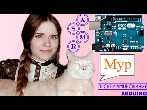 Видео: АСМР | ASMR | Программирование МУРЛОметра | Ардуино