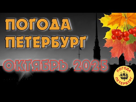 Видео: 2025.10.10. Погода Петербург. 08:41. +9°. Относительно тепло и пока сухо.