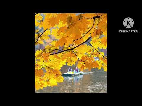 Видео: #тамды Қоңыр Күз, Бағдат Сыдықов