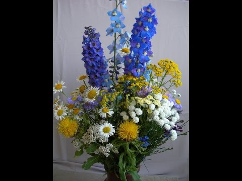 Видео: Видео-урок Летние цветы