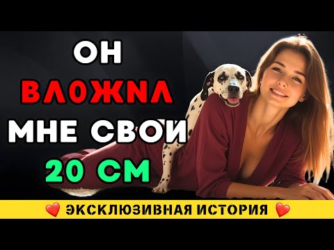 Видео: 🔥 Мой пёс сделал то, что ни один мужчина никогда не смог… Ты не поверишь, что было дальше!