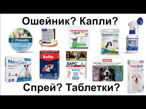 Видео: Клещи - от А до Я (препараты и действующие вещества) | Энциклопедия UA DOG