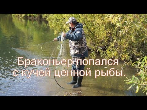 Видео: Браконьер попался с кучей ценной рыбы.