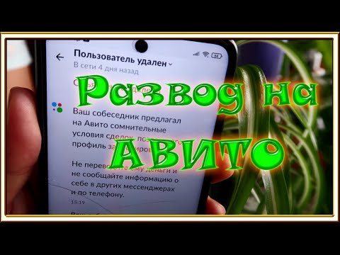 Видео: Развод на АВИТО/Как обманывают продавцы растений с АВИТО