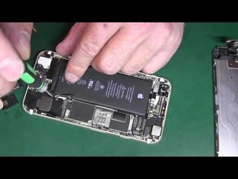 Видео: iPhone 6  хрипит нижний динамик