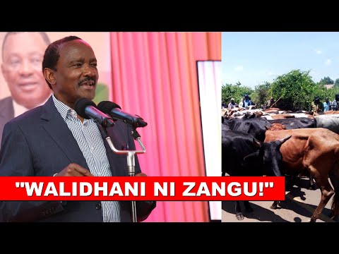Видео: Наконец, Калонзо рассказывает, откуда он взял 100 коров, которых отвёз семье Раилы Одинги в Бондо.