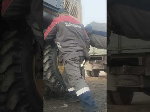 Видео: ЭО  LGCE 24.10.2025 