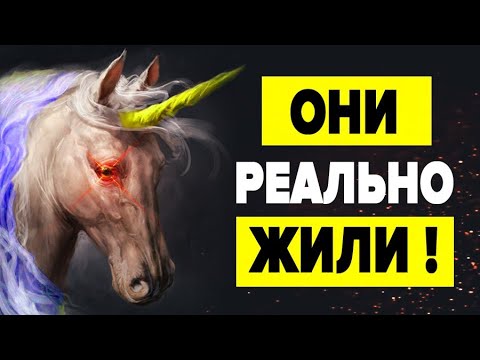 Видео: ЕДИНОРОГИ - ЧТО СКРЫВАЮТ ИСТОРИКИ ? 🦄 10 доказательства что единороги жили на самом деле
