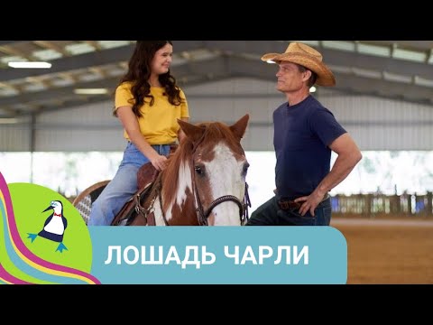 Видео: 👨‍👨‍👧‍👧 ЛОШАДЬ, САМЫЙ ПРЕДАННЫЙ ДРУГ ДЛЯ ЧАРЛИ  🏝 Лошадь Чарли🐾Фильм в HD