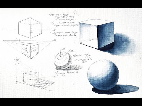 Видео: Основы рисунка