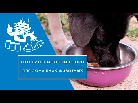 Видео: НАТУРАЛЬНЫЙ КОРМ ДЛЯ ЖИВОТНЫХ В АВТОКЛАВЕ "ДОМАШНИЙ СТАНДАРТ" - СЫТНО И НЕДОРОГО
