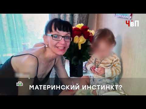 Видео: 2025.08.17 Человек в праве