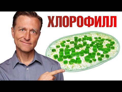 Видео: Польза хлорофилла. Вот почему нужно есть овощи и зелень! ✅