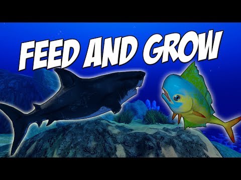 Видео: НОВАЯ РЫБКА ПРОТИВ ОГРОМНОЙ АКУЛЫ,ОБНОВЛЕНИЕ | Feed and Grow: Fish