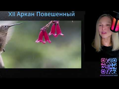 Видео: Презентация Урока Аркан XII Повешенный