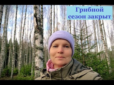 Видео: Грибной сезон закрыт