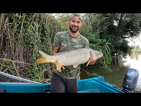 Видео: КРУПНЫЕ САЗАНЫ НАЙДЕНЫ! Рыбалка в низовьях Волги!