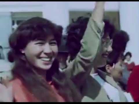 Видео: Киножурнал "Советский Казахстан" №23, 1984 год #киножурнал #производство #достижения #празднование