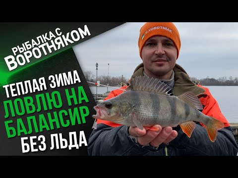 Видео: Ловля на балансир без льда теплой зимой. Окуни клюют с деревянного льда понтонов на балансир.