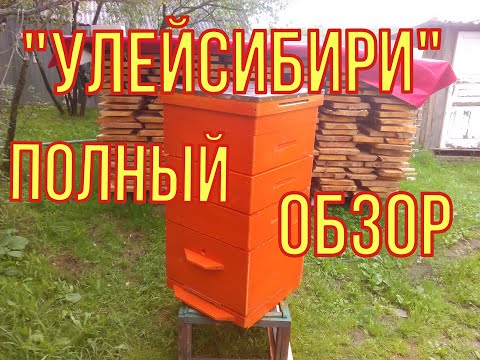 Видео: Улей из массива. Полный обзор улья от компании "УЛЬИ СИБИРИ"