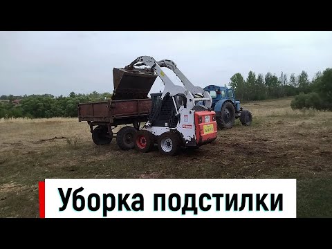 Видео: бобкэт против навоза I уборка подстилки