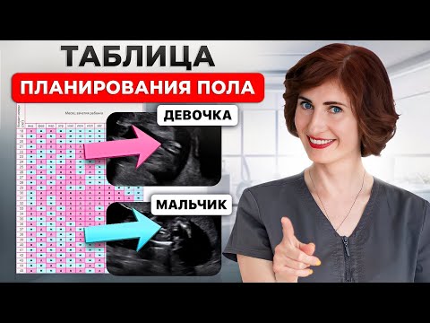 Видео: Как спланировать пол ребенка? Самый ТОЧНЫЙ метод зачать МАЛЬЧИКА  или ДЕВОЧКУ!