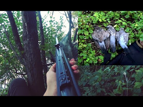 Видео: Охота с Пневматикой 2021. Первая и Удачная Охота на Вяхиря!