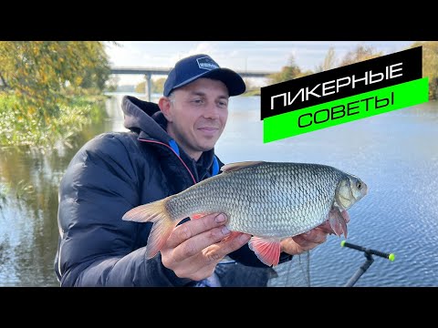 Видео: ЛОВЛЯ НА ПИКЕР / ФИДЕРНЫЕ СЕКРЕТЫ / FROS FISHING