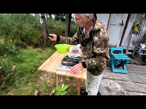 Видео: Поймал окуней . Приготовил на углях.