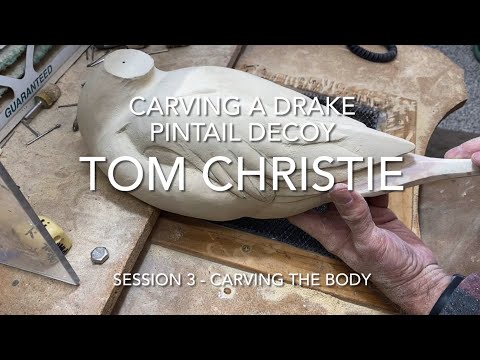 Видео: Вырезание шилохвоста селезня. Занятие 3 — Вырезание тела