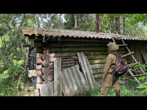 Видео: НАШЁЛ ИЗБУ А ТАМ! РЫБАЛКА В ТАЙГЕ. ПЕЧАЛЬНАЯ НАХОДКА В ГЛУШИ.