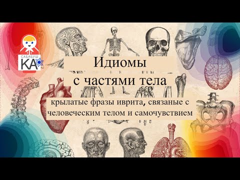 Видео: Сабабушка иврит. Идиомы с частями тела