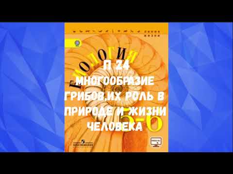Видео: БИОЛОГИЯ 5-6 КЛАСС П 24 МНОГООБРАЗИЕ ГРИБОВ ИХ РОЛЬ В ПРИРОДЕ И ЖАЗНИ ЧЕЛОВЕКА АУДИО УЧЕБНИК СЛУШАТЬ