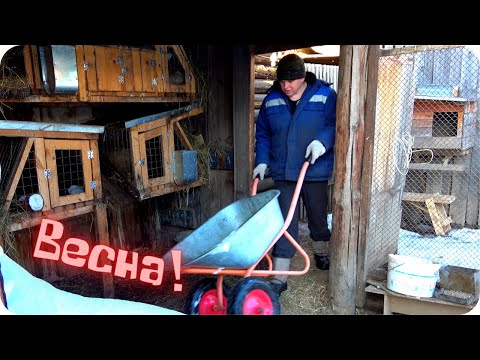 Видео: Первая оттепель