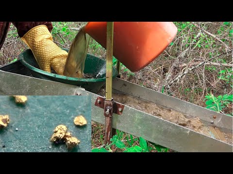 Видео: ЗОЛОТОЙ ОСТРОВ!!! Золото прямо под ногами!!!