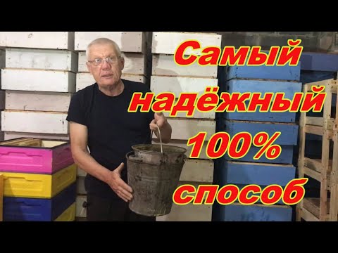 Видео: Как сохранить сушь от восковой моли? Эффективность 100%!
