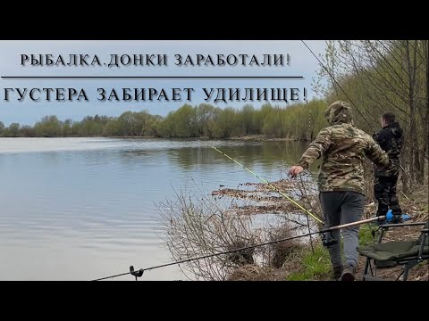 Видео: РЫБАЛКА. Донки заработали.ГУСТЕРА забирает удилище!